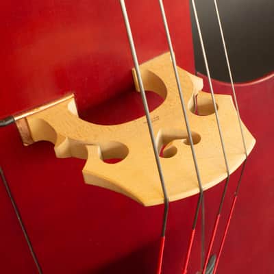 Maurice Dupont Volante Bass 2011 image 3