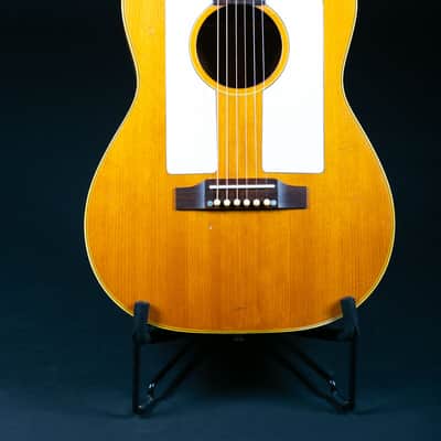 Gibson F-25 1965 image 11