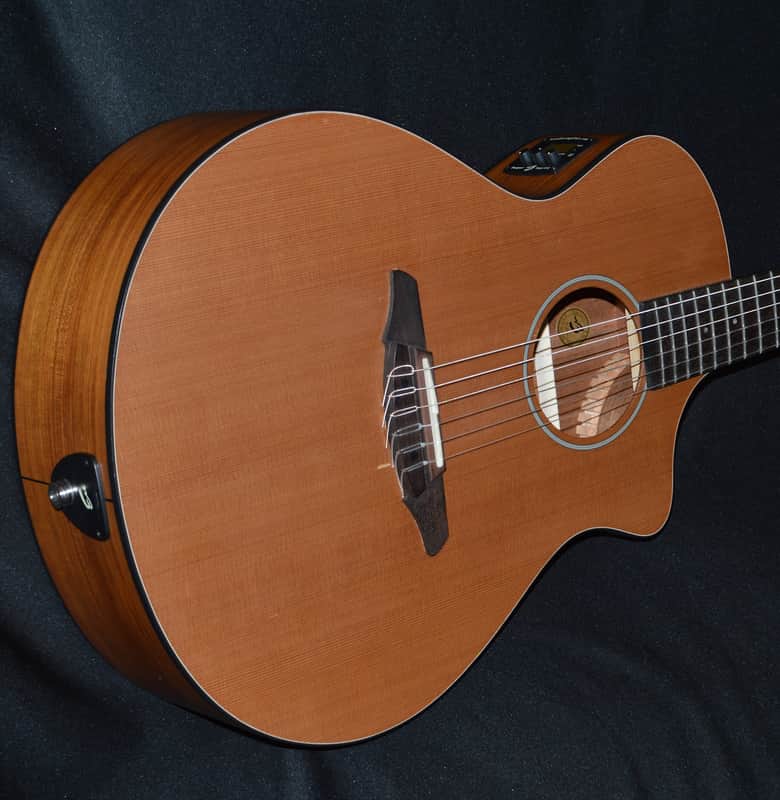 Breedlove Passport N250/C0e ~2014 Natural image 1