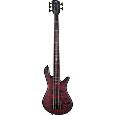 Spector Performer 5 | Reverb