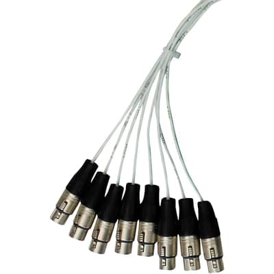 Pro Co Sound 50' 8 Channel XLR-Female to XLR-Male Multitrack Analog Studio Harness Cable image 2