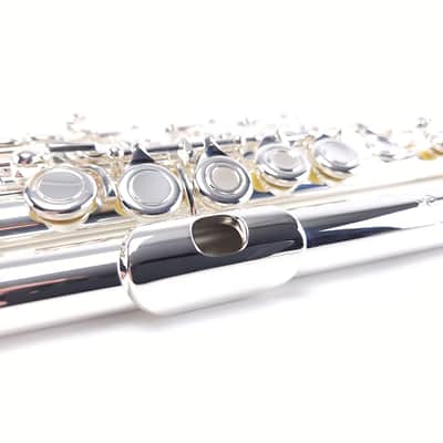 Di Zhao DZ 401 E Flute Open Hole B Foot Split E Silver Lip Intermediate NEW image 5