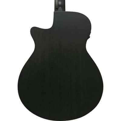 Ibanez AEG Series AEG621 Acoustic Electric Guitar, Black Out image 5