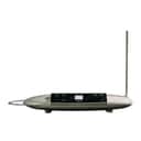 Moog Theremini