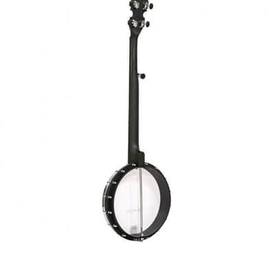 BANJO 5 Cordes GOLD TONE AC-1 - open back image 5