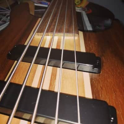 Harley Benton Fretless Bass 5 string HBZ-2005FL image 2