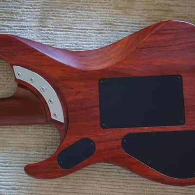 Washburn N4 Nuno Bettencourt Padauk. Limited edition. Signed by Nuno. Rare! image 13