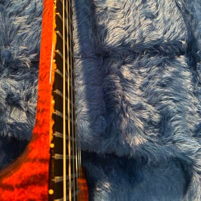 PRS Custom 24 Semi-Hollow Wood Library 2022 image 15