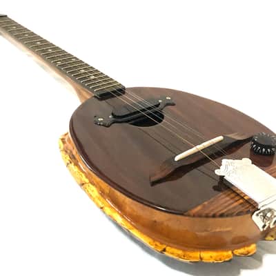 Turtle Shell acoustic/electric dulcimer guitar image 10