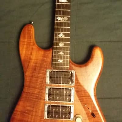 Jerry Garcia "Tiger" Inspired Custom Strat image 1