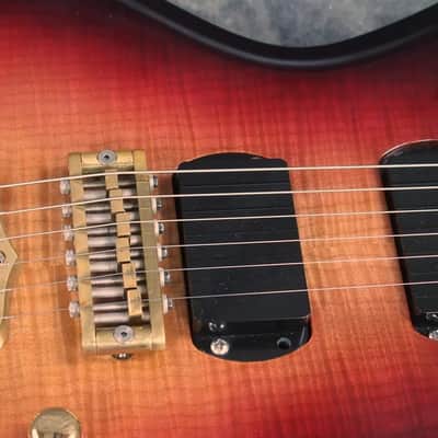 Alembic Skylark 6 String 25.5 inch Long Scale Electric Guitar with Case image 3
