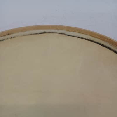 *Ludwig WFL Drum Co Slunk Transparent 14" Calf Skin Snare Head Resonant Imperial image 6