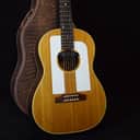 Gibson F-25 Folksinger 1965 with K&k pickup