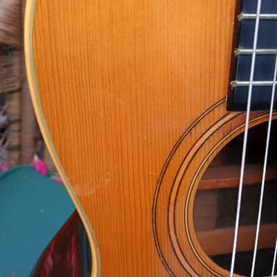 Washburn New Model 1897 Style Parlor Guitar, 1897-9, restored image 7
