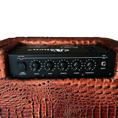 Ashen " Croco Mighty500" BG500 1x12" Custom Portable Bass Combo Amp image 5