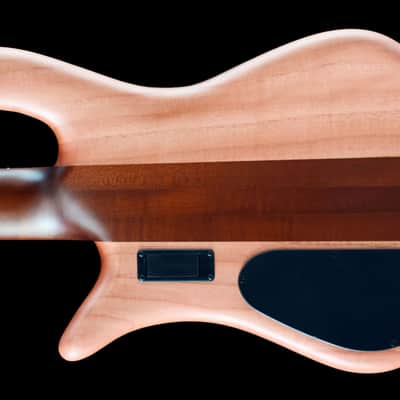 Spector Euro 5 RST 2024 - Roasted Sundown Glow image 5