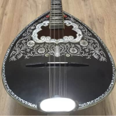 Greek Bouzouki & hardcase & pickup & 300 backing track with pdf scores 8 string image 1
