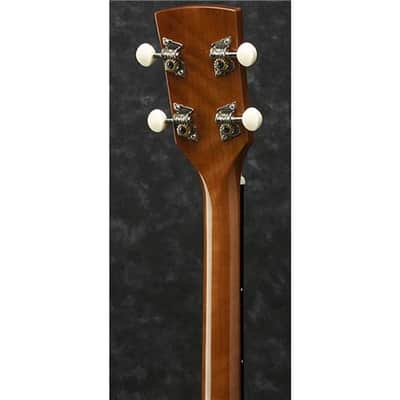 Ibanez Performance Series PFT2 Tenor Acoustic Guitar, Rosewood Fretboard, Natural High Gloss image 4