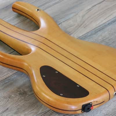 Awesome! Bill Moll Custom 6-String Electric Bass Guitar + Coffin Case image 16
