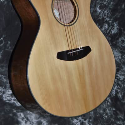 2021 Breedlove - Discovery Concert  - Natural image 1