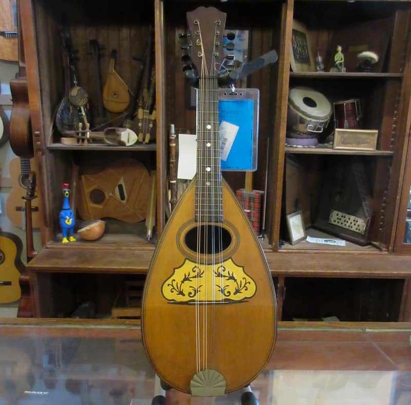 Unlabeled Bowlback Mandolin Early 1900's image 1