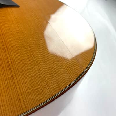 Taylor 516ce with ES1 Electronics - Cedar Top Mahogany back and sides  Premium Taylor Hardshell Case. image 14