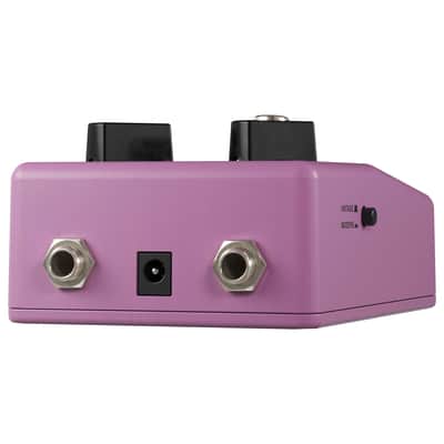 Ross Fuzz image 2