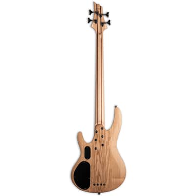 ESP LTD LB-204SMF Fretless Bass - Roasted Jatoba Fingerboard, Natural image 2
