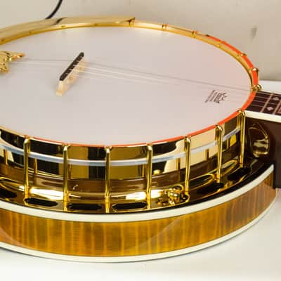 Epiphone Earl Scruggs Golden Deluxe Banjo (Incl. Hard Case) image 14