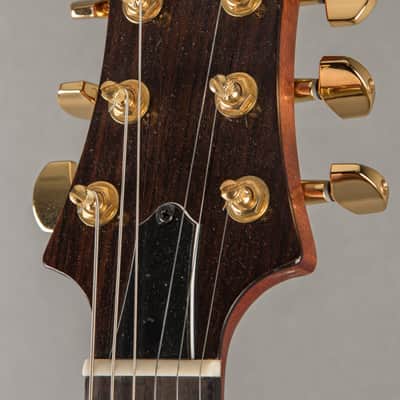 Baldacci Bighorn Hollowbody 2020, Sunburst image 6