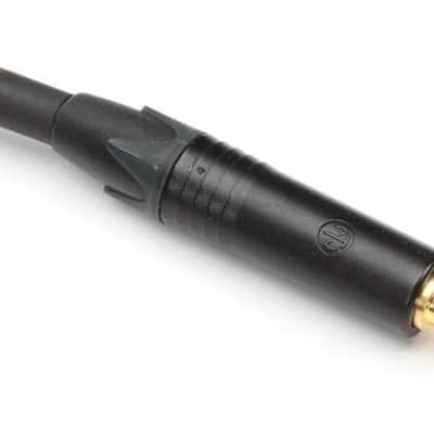 GOLD INSERT TS-12 Insert Cable, 1/4" Straight TRS Male Plug to Dual 1/4" Straight TS Male Plug Send/Receive Connectors, Gold Contacts, 12 Foot image 2
