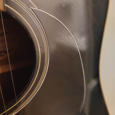 Acoustic Fender Catalina II image 3