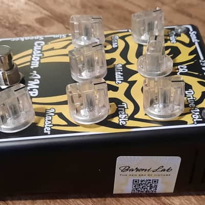Baroni-Lab Custom Hand-Made Italian 100w Guitar Amp image 4