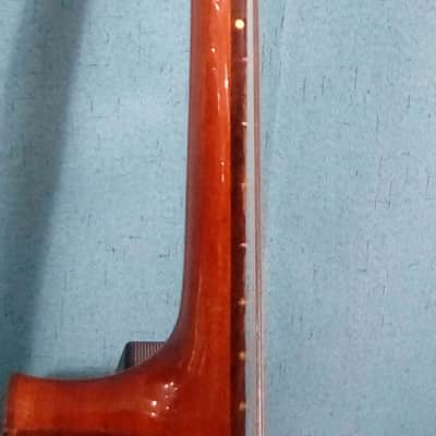 Beautiful Rare DiGiorgio Brazilian Classical Guitar Guarany C2 1979 image 9
