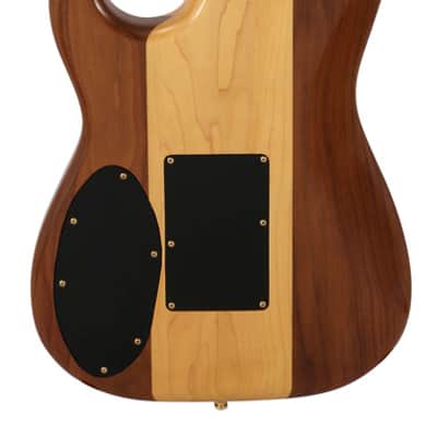 Fender Prototype 1983 Neck Through Stratocaster image 3
