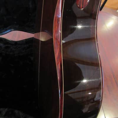 Wilborn MD Bucephalus Warhorse *Adirondack/Brazilian* One of a kind* VIDEO* image 11