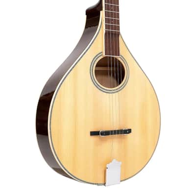 Gold Tone Banjola+ S Solid Spruce Top Woodbody Banjo with Scoop, Pickup & Hard Case image 3