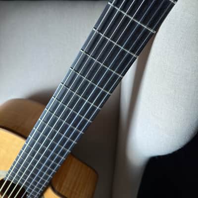 Kenny Hill 7 String Classical Cutaway Crossover Seven String image 12