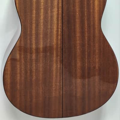 Zager Parlor E/N Acoustic (Used) image 12