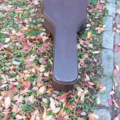 Geib  vintage guitar case  brown image 5