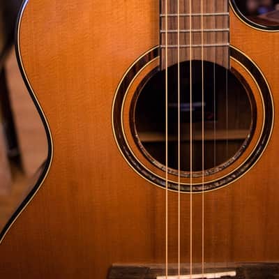 Merida Extrema Diana DG-15FOGACES Acoustic Guitar | Reverb