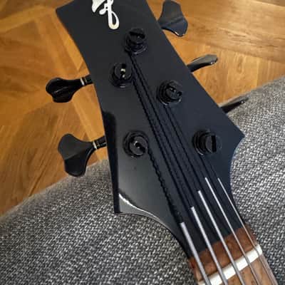 F Bass BN5, brand new with waterproof ATA road case image 6