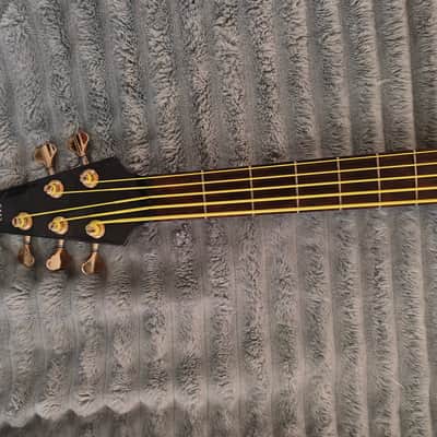 Modulus Quantum 5 2007 - Vintage burst image 4