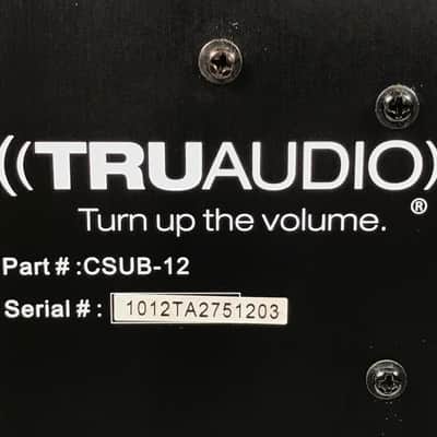 TruAudio CSUB-12 12" CSUB Dual Radiators 350W image 7