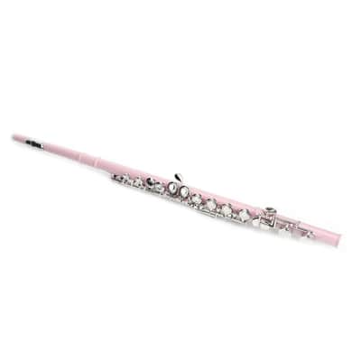 Cxxss Pink School Band Student 16 Hole C Flute Set With Case & Accessories Gift image 4