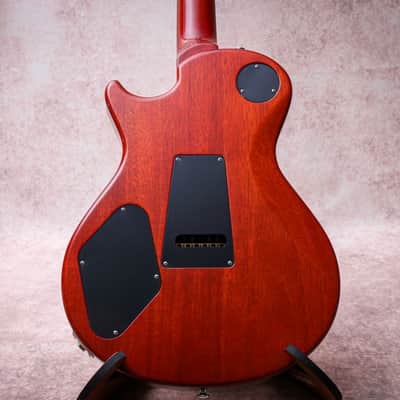 PRS USA Paul Reed Smith Signature Tremonti Tremolo "Burnt Maple Leaf + Rosewood" (2016)(Reserved) image 15