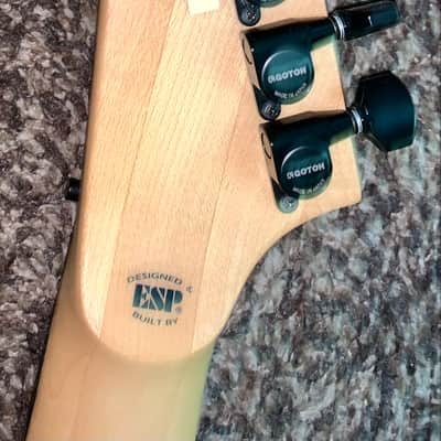 ESP Edwards Alexi Lahio E-AL-166 COBHC flying V electric guitar made in japan Floyd rose neckthru emg pickup ESP Hardshell case image 16