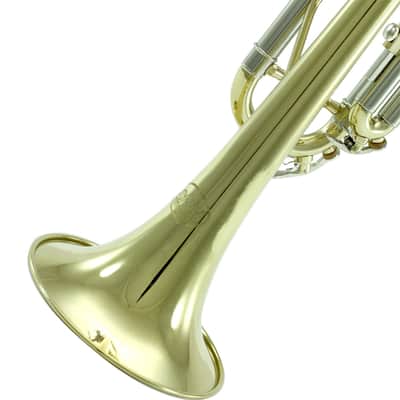 Sky Band Approved Gold Plated Bb Trumpet with Case, Cloth, Gloves and Valve Oil image 2