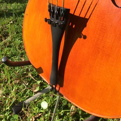 Tenor Violin (half-size cello tuned GDAE) image 5