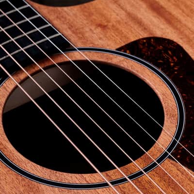 Taylor 24ce Grand Auditorium Acoustic Electric Guitar image 8